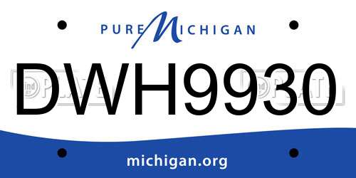 DWH9930 Michigan License Plate