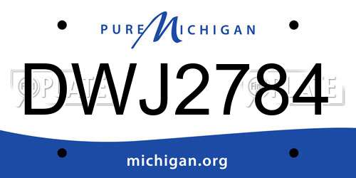 DWJ2784 Michigan License Plate