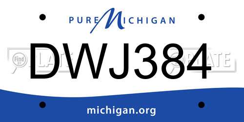 DWJ384 Michigan License Plate