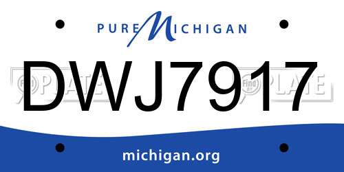 DWJ7917 Michigan License Plate