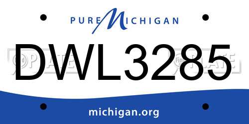 DWL3285 Michigan License Plate