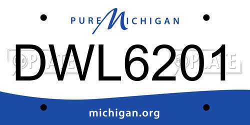 DWL6201 Michigan License Plate