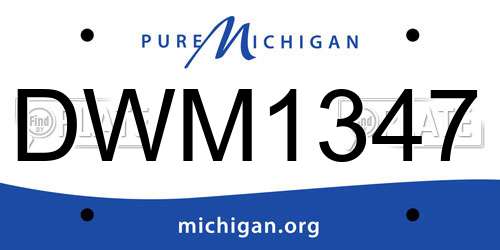 DWM1347 Michigan License Plate