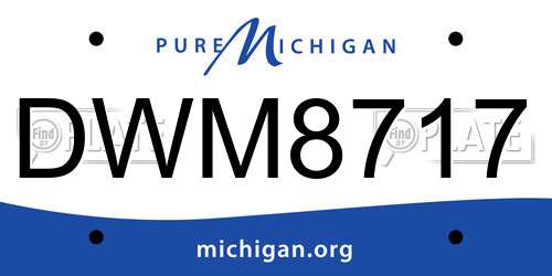 DWM8717 Michigan License Plate