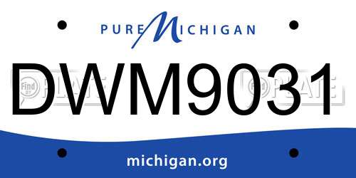 DWM9031 Michigan License Plate