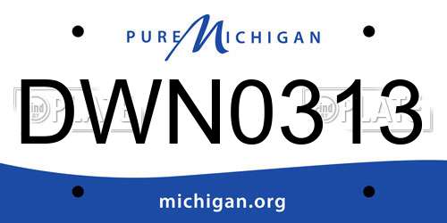 DWN0313 Michigan License Plate