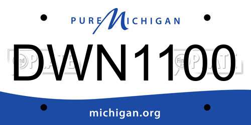 DWN1100 Michigan License Plate
