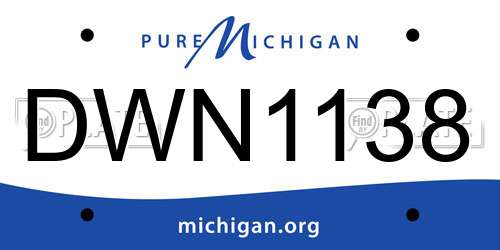 DWN1138 Michigan License Plate