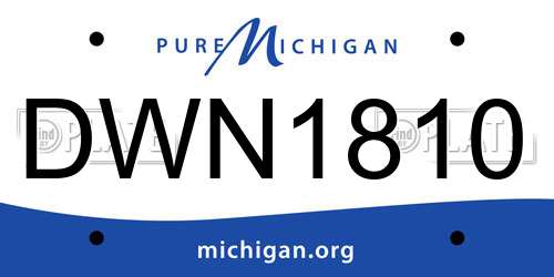 DWN1810 Michigan License Plate