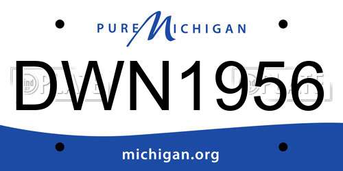 DWN1956 Michigan License Plate
