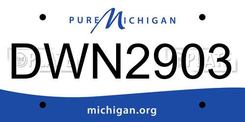 DWN2903 Michigan License Plate