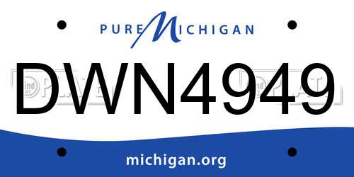 DWN4949 Michigan License Plate