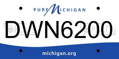 DWN6200 Michigan License Plate