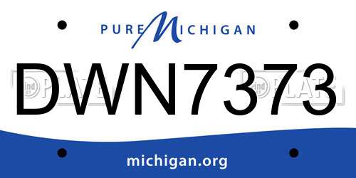 DWN7373 Michigan License Plate