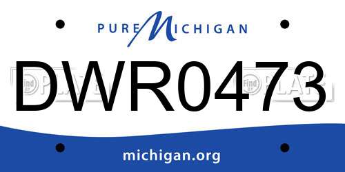 DWR0473 Michigan License Plate