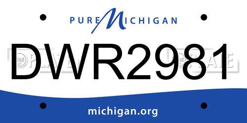 DWR2981 Michigan License Plate