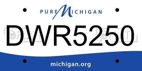 DWR5250 Michigan License Plate