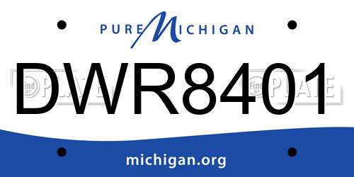 DWR8401 Michigan License Plate
