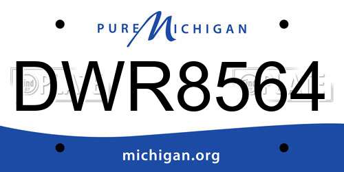 DWR8564 Michigan License Plate