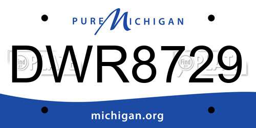 DWR8729 Michigan License Plate