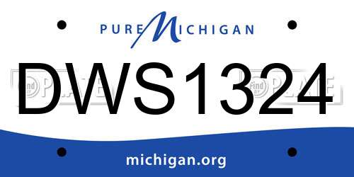 DWS1324 Michigan License Plate
