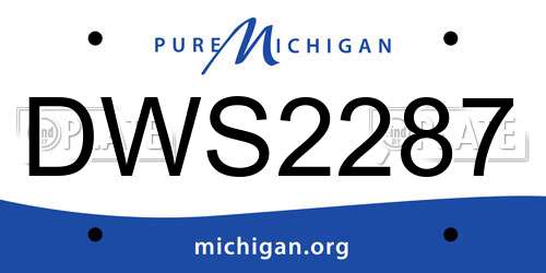 DWS2287 Michigan License Plate
