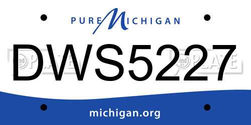 DWS5227 Michigan License Plate