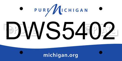DWS5402 Michigan License Plate