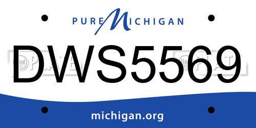 DWS5569 Michigan License Plate