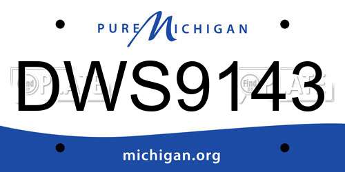 DWS9143 Michigan License Plate