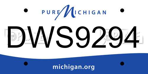 DWS9294 Michigan License Plate