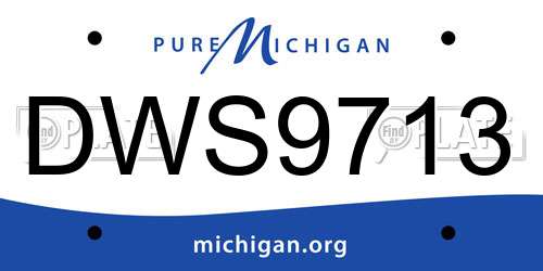 DWS9713 Michigan License Plate