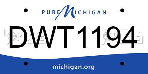 DWT1194 Michigan License Plate