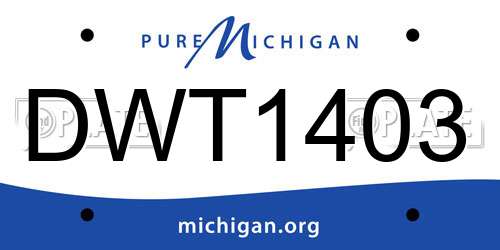 DWT1403 Michigan License Plate