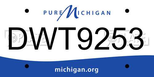 DWT9253 Michigan License Plate