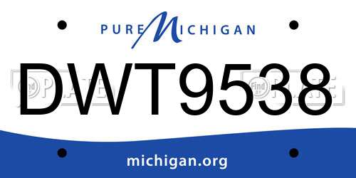 DWT9538 Michigan License Plate