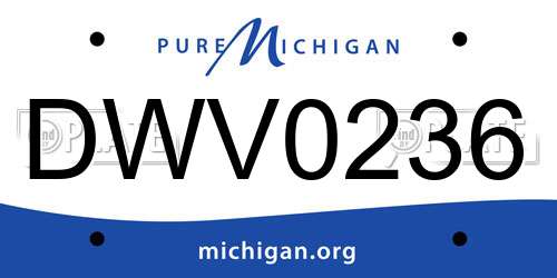 DWV0236 Michigan License Plate