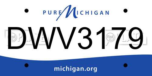 DWV3179 Michigan License Plate