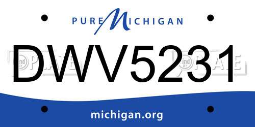 DWV5231 Michigan License Plate