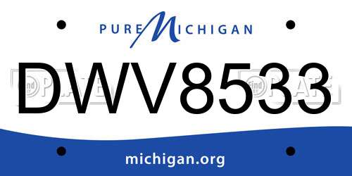 DWV8533 Michigan License Plate