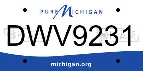 DWV9231 Michigan License Plate