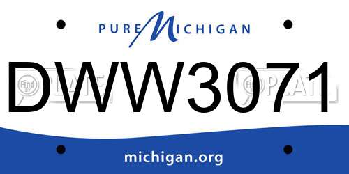 DWW3071 Michigan License Plate