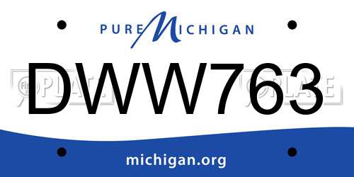 DWW763 Michigan License Plate