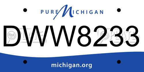 DWW8233 Michigan License Plate