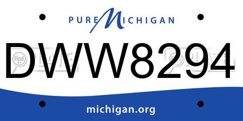 DWW8294 Michigan License Plate