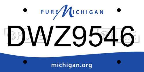 DWZ9546 Michigan License Plate