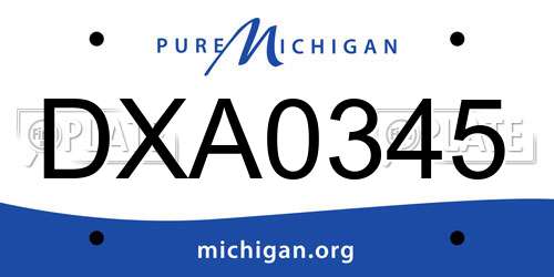 DXA0345 Michigan License Plate