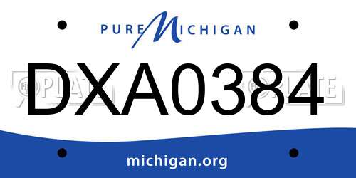 DXA0384 Michigan License Plate