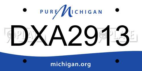 DXA2913 Michigan License Plate