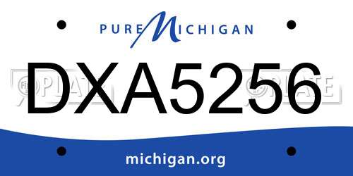 DXA5256 Michigan License Plate